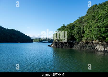 River FAL, Cornouailles, Royaume-Uni - août 2023 : vue de l'extérieur du jardin Trelissick à la péninsule de Roseland Banque D'Images