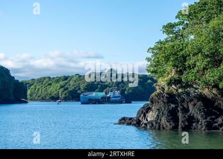 River FAL, Cornouailles, Royaume-Uni - août 2023 : vue de l'extérieur du jardin Trelissick à la péninsule de Roseland Banque D'Images