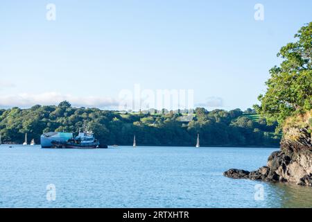 River FAL, Cornouailles, Royaume-Uni - août 2023 : vue de l'extérieur du jardin Trelissick à la péninsule de Roseland Banque D'Images