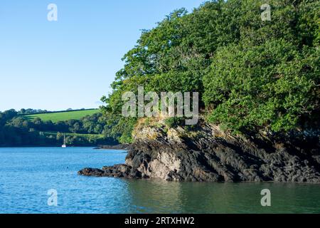 River FAL, Cornouailles, Royaume-Uni - août 2023 : vue de l'extérieur du jardin Trelissick à la péninsule de Roseland Banque D'Images