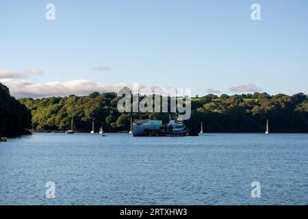 River FAL, Cornouailles, Royaume-Uni - août 2023 : vue de l'extérieur du jardin Trelissick à la péninsule de Roseland Banque D'Images