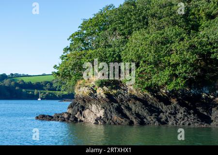 River FAL, Cornouailles, Royaume-Uni - août 2023 : vue de l'extérieur du jardin Trelissick à la péninsule de Roseland Banque D'Images