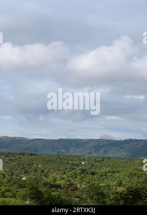 Vue sur les arbres, les montagnes et le ciel Banque D'Images