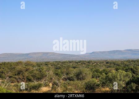 Le paysage luxuriant de la réserve animalière Mkhuze ou Mkuze, nord du Zululand, KwaZulu-Natal, Afrique du Sud Banque D'Images