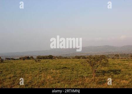 Le paysage luxuriant de la réserve animalière Mkhuze ou Mkuze, nord du Zululand, KwaZulu-Natal, Afrique du Sud Banque D'Images