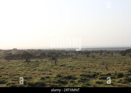 Le paysage luxuriant de la réserve animalière Mkhuze ou Mkuze, nord du Zululand, KwaZulu-Natal, Afrique du Sud Banque D'Images