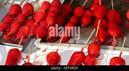 brochettes de grandes fraises rouges mûres caramélisées avec sucre sur le dessus pour la vente dans la caniculture Banque D'Images