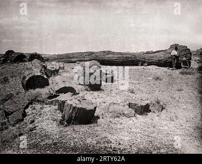 Arizona, vers 1890 vue du désert peint et du bois pétrifié dans le parc national de la forêt pétrifiée. Banque D'Images