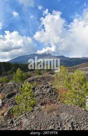 Volcan Etna, volcan fumant, lave avec végétation croissante, nature environnante, Sicile, Italie, Europe. Banque D'Images