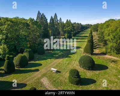 Yew Tree Avenue à Clipsham a plus de 200 ans, composé de 150 arbres de Yew coupés dans toutes sortes de formes inhabituelles photo prise le 15 septembre 2023 Banque D'Images