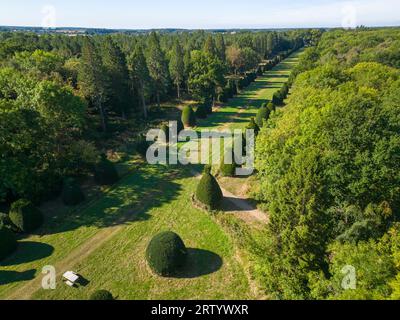 Yew Tree Avenue à Clipsham a plus de 200 ans, composé de 150 arbres de Yew coupés dans toutes sortes de formes inhabituelles photo prise le 15 septembre 2023 Banque D'Images