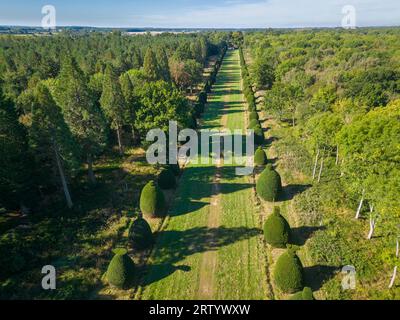 Yew Tree Avenue à Clipsham a plus de 200 ans, composé de 150 arbres de Yew coupés dans toutes sortes de formes inhabituelles photo prise le 15 septembre 2023 Banque D'Images