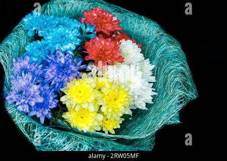 Bouquet de fleurs de chrysanthème colorées dans un emballage décoratif sur fond noir. Banque D'Images