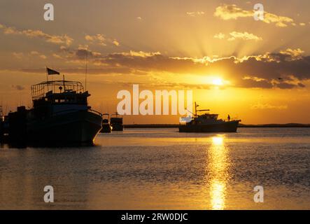 Excursion en bateau à Cumberland Island Sunrise, Cumberland Island National Seashore, St Marys, Géorgie Banque D'Images