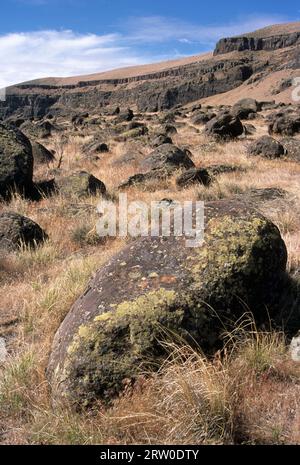 Rochers du sentier en dessous du barrage de Swan Falls, Snake River Birds of Prey National conservation Area, Idaho Banque D'Images