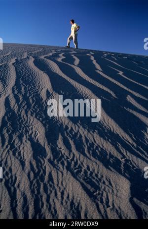 Randonneur sur dune, parc national de Bruneau Dunes, zone de conservation nationale des oiseaux de proie de Snake River, Idaho Banque D'Images