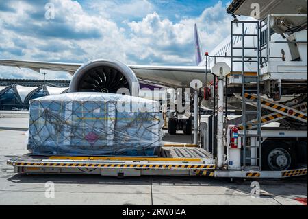 Les conteneurs logistiques de fret aérien se chargent dans un avion. Expédition de transport aérien préparer pour le chargement à des avions à réaction modernes de cargo à l'aéroport. Banque D'Images