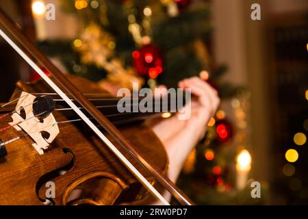 Violon avec arbre de noël, violon avec arbre de noël Banque D'Images