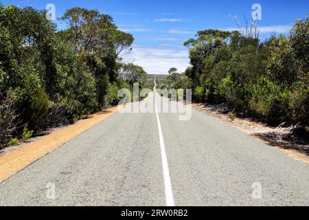 Route dans le parc national de Flinders Chase sur Kangaroo Island, Australie méridionale, Australie Banque D'Images