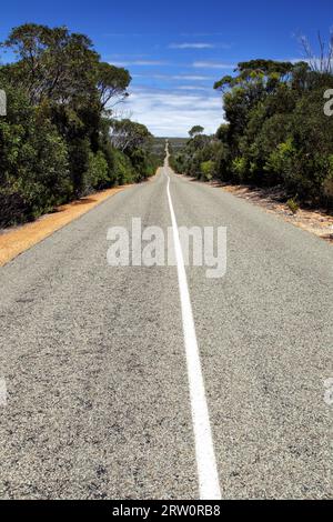 Route dans le parc national de Flinders Chase sur Kangaroo Island, Australie méridionale, Australie Banque D'Images