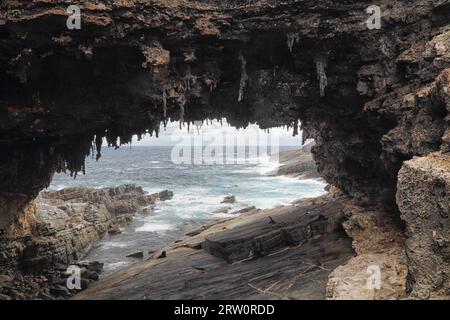 Grotte à Admirals Arch à Cape du Couedic dans le parc national de Flinders Chase sur Kangaroo Island, Australie méridionale, Australie Banque D'Images