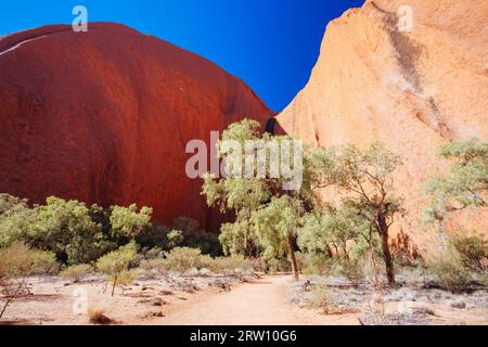 Le rocher d'Uluru est entouré de végétation environnante lors d'une matinée d'hiver claire dans le territoire du Nord, en Australie Banque D'Images