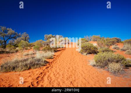 Paysage de l'Outback et sable rouge près de Kings Canyon dans le territoire du Nord, Australie Banque D'Images