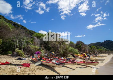 Abel Tasman, Nouvelle-Zélande, 8 mars 2015 : des gens préparent des kayaks sur une plage dans le parc national Abel Tasman sur l'île du Sud Banque D'Images