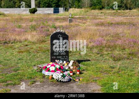 Mémorial de Bergen-Belsen, Gravestone pour Anne Frank, Comté de Basse-Saxe, Allemagne Banque D'Images