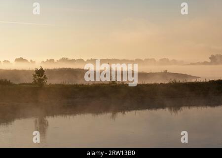 Ambiance matinale dans la plaine inondable de l'Elbe près de Darchau dans le paysage de l'Elbe Réserve de biosphère UNESCO. AMT Neuhaus, Basse-Saxe, Allemagne Banque D'Images