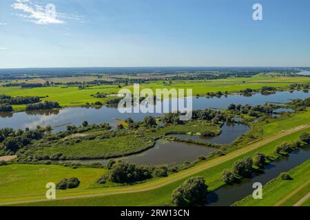 Vue aérienne de la plaine inondable de l'Elbe près de Boizenburg dans la Réserve de biosphère UNESCO du paysage de l'Elbe. Boizenburg, Mecklembourg-Poméranie occidentale Banque D'Images