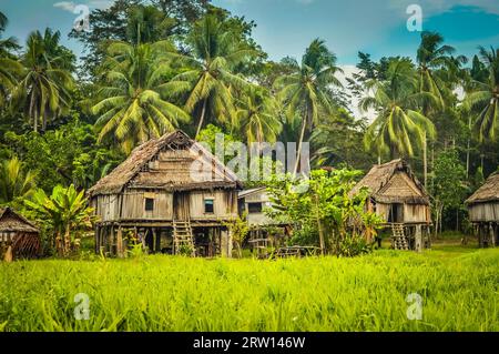 Maisons simples en paille, bois et bambou entourées de verdure à Palembe, rivière Sepik en Papouasie-Nouvelle-Guinée Banque D'Images