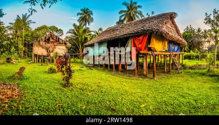 Photo de maisons simples en paille et bois à Avatip, rivière Sepik en Papouasie-Nouvelle-Guinée. Dans cette région, on ne peut rencontrer que des personnes isolées Banque D'Images