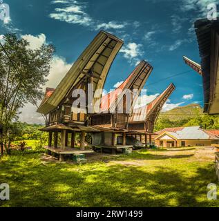 Photo de tongkonans, maisons ancestrales traditionnelles avec sculptures et ornements colorés à Sangalla, région de Toraja à Sulawesi, Indonésie Banque D'Images