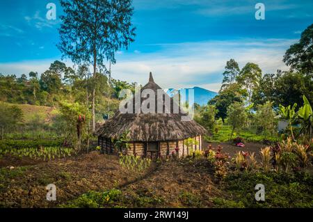 Photo de maison de village simple et son jardin dans la région montagneuse dans le village de Sara, Mt. Michael en Papouasie-Nouvelle-Guinée Banque D'Images