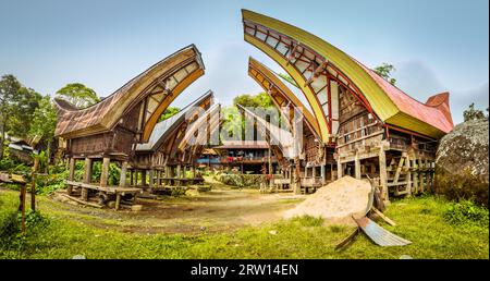 Photo de tongkonans typiques avec toit en forme de bateau et seldleback dans un village de la région de Toraja à Sulawesi, Indonésie Banque D'Images