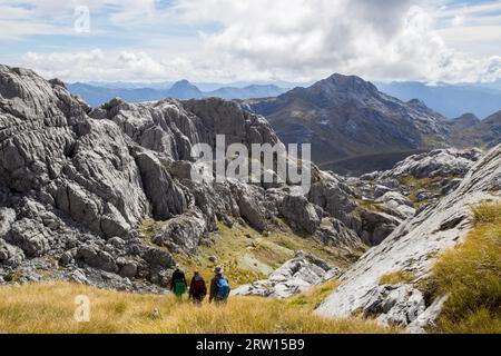 Parc national de Kahurangi, Nouvelle-Zélande, 15 mars 2015 : les gens descendent le mont Owen dans le parc national de Kahurangi Banque D'Images