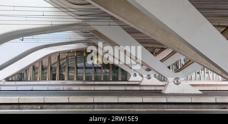 Gare de Liège-Guillemins dans un style industriel moderne, architecte Santiago Calatrava, Liège, Wallonie, Belgique Banque D'Images