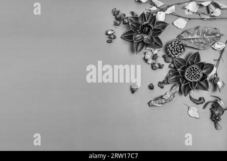 nature morte de fleurs séchées en noir et blanc dans le style gothique Banque D'Images