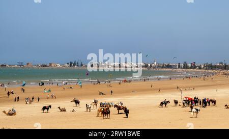 Essaouira, Maroc : vue panoramique sur la plage avec la vieille ville en arrière-plan. Destination marocaine populaire pour le vent et le kite surfeur Banque D'Images