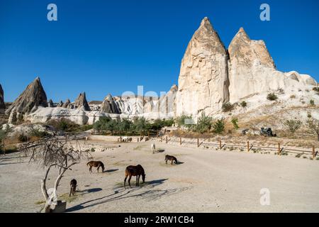 05.09.2017, Turquie, Nevsehir, Goereme - Tufas et cheminées de fées dans le parc national de Goereme en Cappadoce. 00A170905D175CAROEX.JPG [AUTORISATION DU MODÈLE : N Banque D'Images