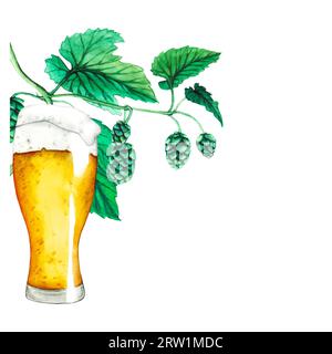 Vecteur. Houblon vert frais. Verre de bière. Illustration graphique dessinée à la main pour Octoberfest. Croquis aquarelle pour ornement ou toute conception. Illustration de Vecteur