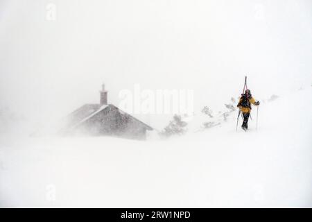 02.02.2023, Autriche, haute-Autriche, Krippenbrunn - skieur remonte une pente dans de fortes chutes de neige à travers la neige profonde. 00S230202D198CAROEX.JPG [AUTORISATION DU MODÈLE : Banque D'Images