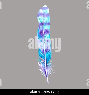 Hand painted watercolor bird feathers closeup isolated on white background colorful set. Art elements, sketch, hand drawn Banque D'Images