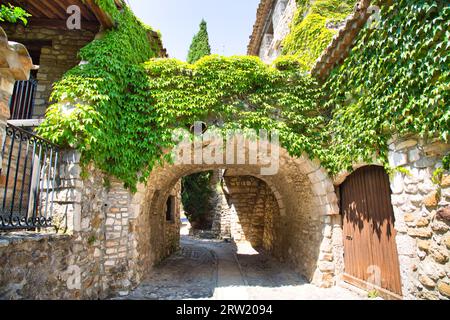 passage souterrain envahi de plantes dans une vieille ville appelée aiguèze Banque D'Images