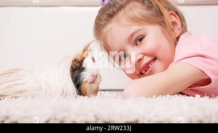 la petite fille tient soigneusement le gros cobaye poilu dans les mains Banque D'Images