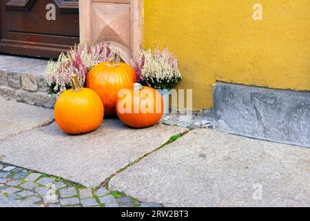 Plusieurs citrouilles mûres rondes orange, bruyère colorée blanche et violette dans des seaux et des pots de fleurs posés sur le trottoir par le mur Banque D'Images