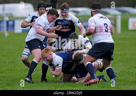 Selkirk, Royaume-Uni. 16 septembre 2023. SELKIRK, samedi 16 septembre 2023. First League/Border League Selkirk RFC vs JedForest RFC à Philiphaugh en bas du tableau Border Derby Clash ( crédit : Rob Gray/Alamy Live News Banque D'Images