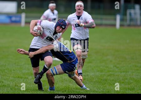 Selkirk, Royaume-Uni. 16 septembre 2023. SELKIRK, samedi 16 septembre 2023. First League/Border League Selkirk RFC vs JedForest RFC à Philiphaugh en bas du tableau Border Derby Clash ( crédit : Rob Gray/Alamy Live News Banque D'Images