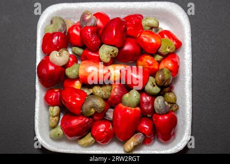 Le cerrado cajuzinho (Anacardium humile), également connu sous le nom de cajuzinho-do-campo ou cajuí, . Fruits sauvages brésiliens Banque D'Images